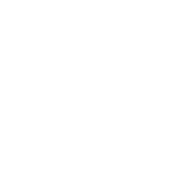 The Ascott light