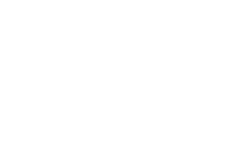 white-co-logo